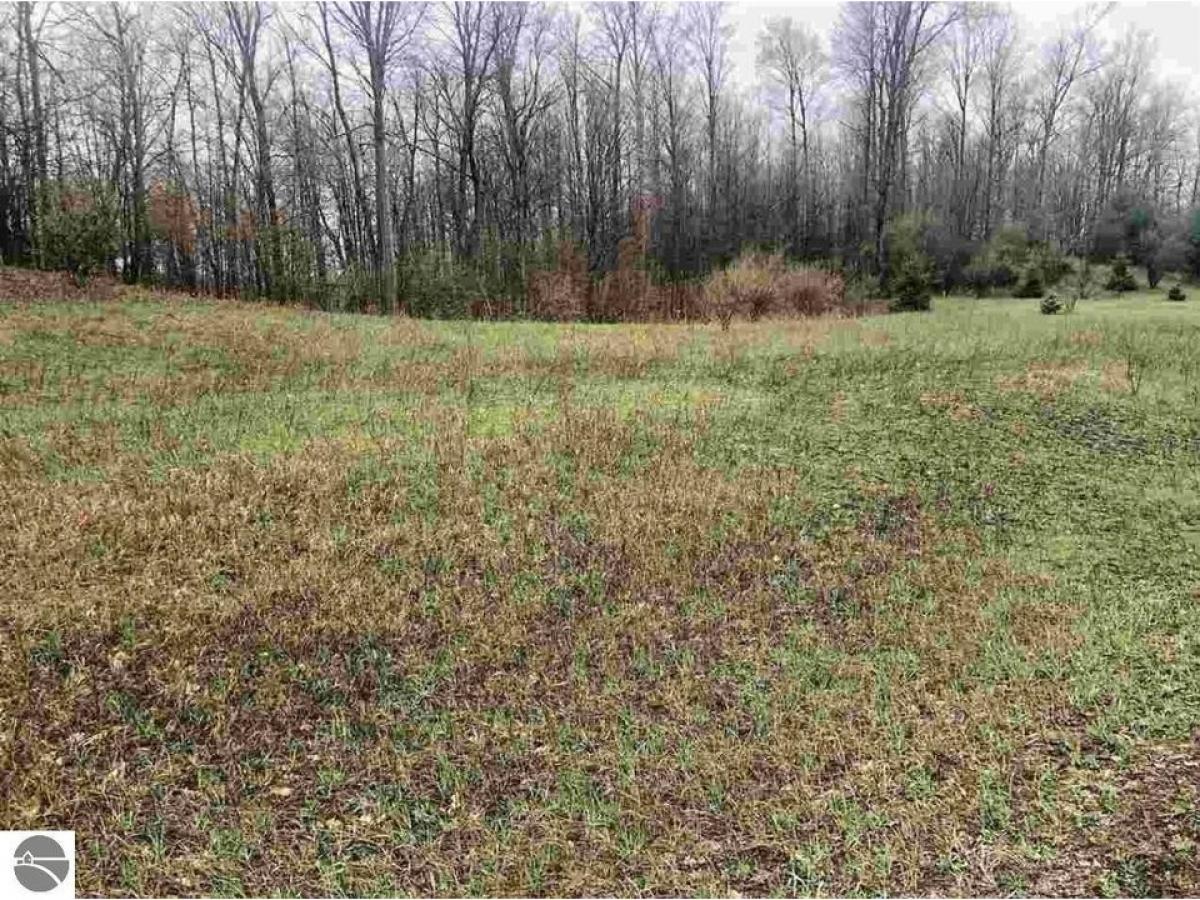 Picture of Residential Land For Sale in Grawn, Michigan, United States