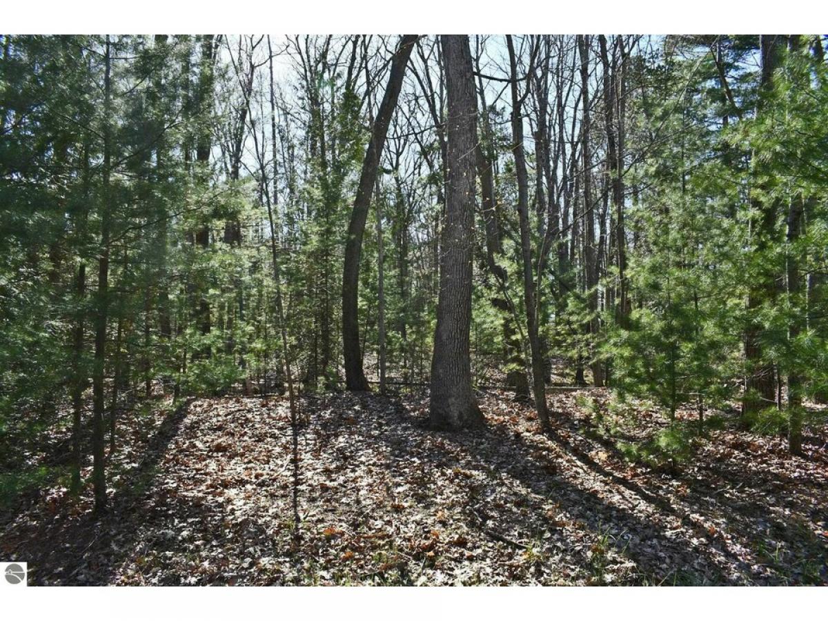 Picture of Residential Land For Sale in Oscoda, Michigan, United States