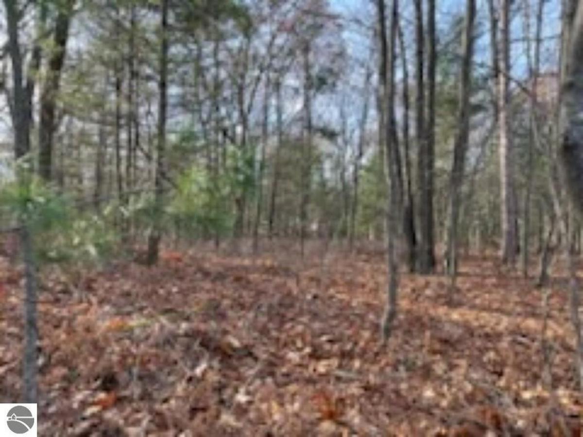 Picture of Residential Land For Sale in Au Gres, Michigan, United States