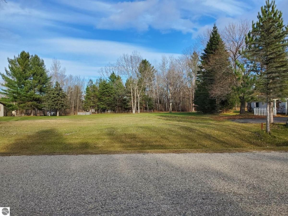 Picture of Residential Land For Sale in West Branch, Michigan, United States