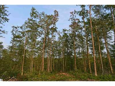 Residential Land For Sale in Mikado, Michigan