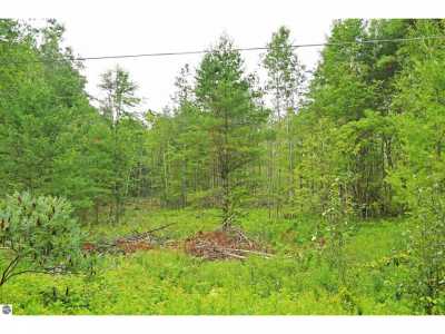 Residential Land For Sale in Greenbush, Michigan
