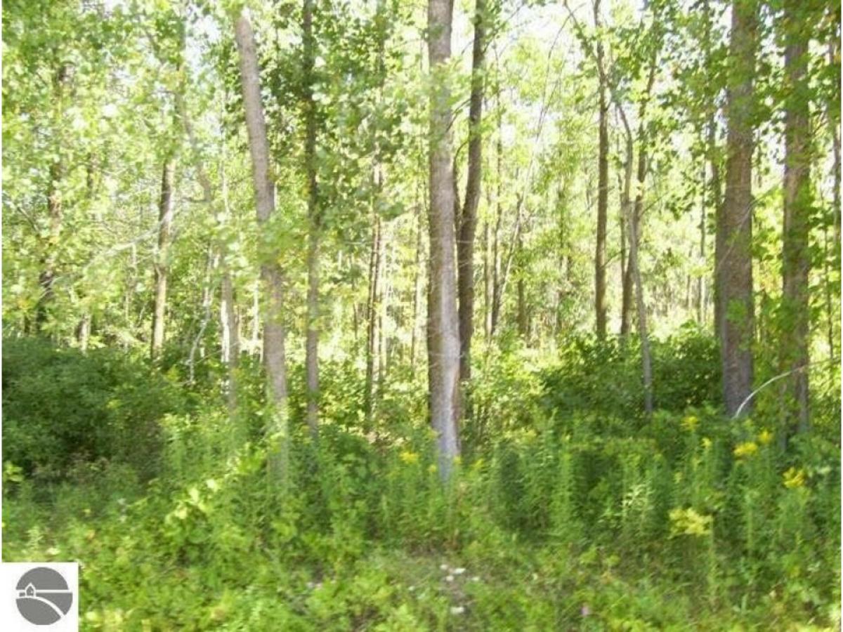 Picture of Residential Land For Sale in Au Gres, Michigan, United States