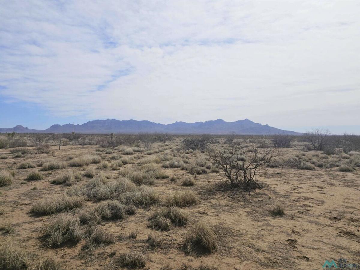 Picture of Residential Land For Sale in Deming, New Mexico, United States