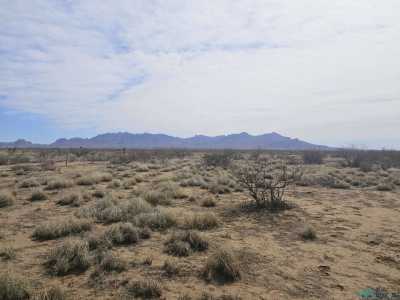 Residential Land For Sale in Deming, New Mexico