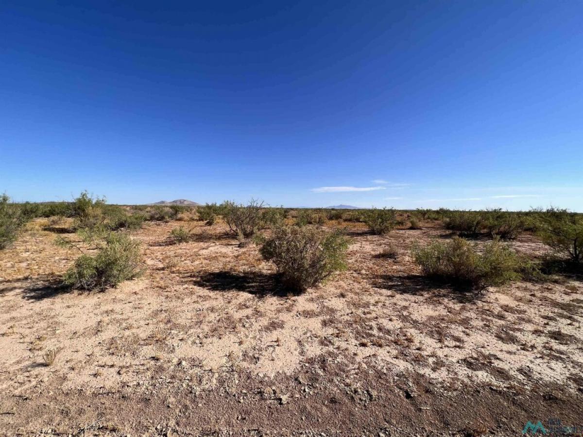 Picture of Residential Land For Sale in Deming, New Mexico, United States