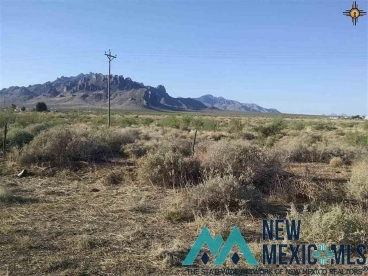 Picture of Residential Land For Sale in Deming, New Mexico, United States