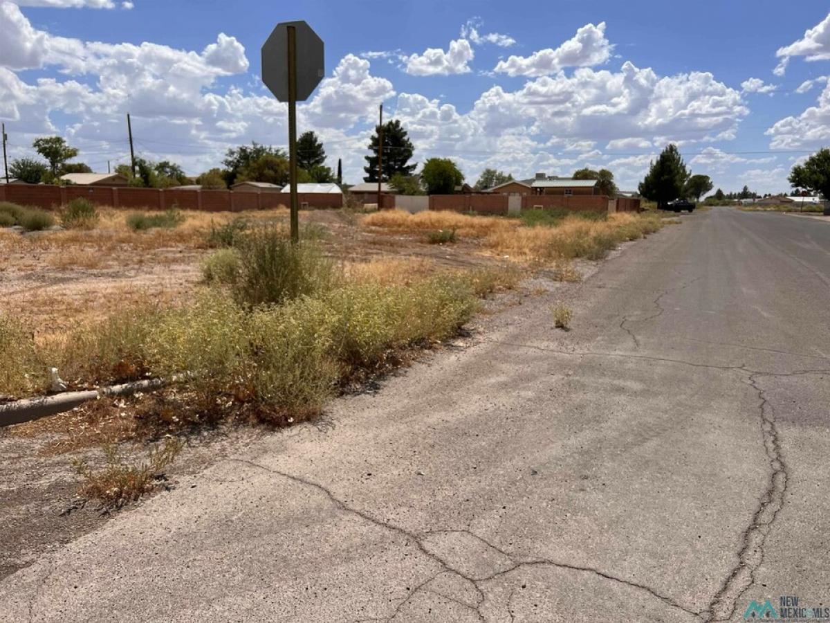 Picture of Residential Land For Sale in Deming, New Mexico, United States