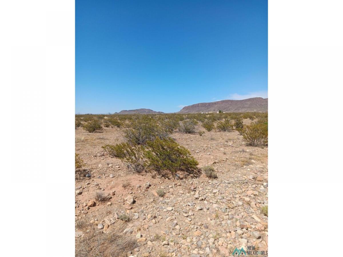 Picture of Residential Land For Sale in Deming, New Mexico, United States