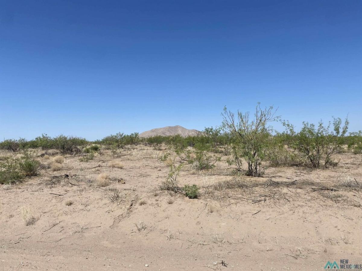 Picture of Residential Land For Sale in Deming, New Mexico, United States