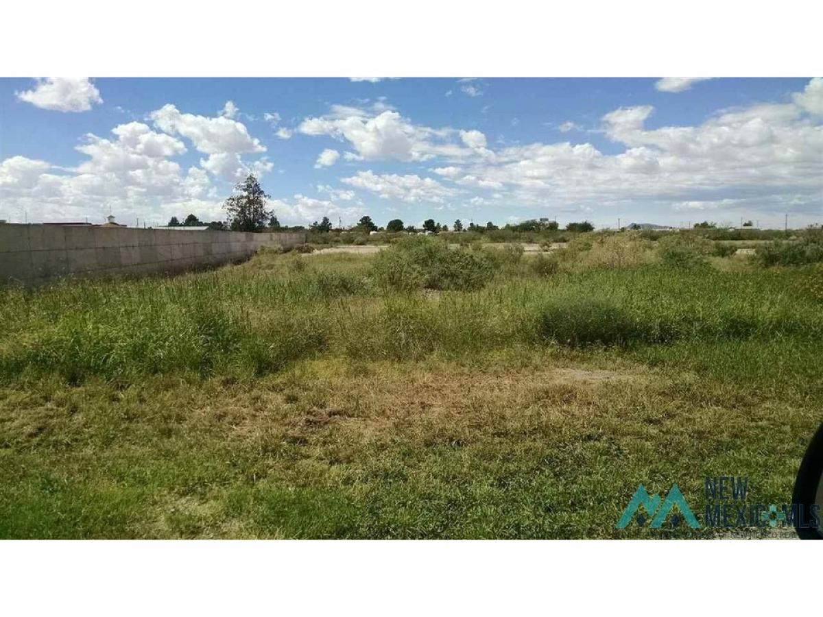 Picture of Residential Land For Sale in Deming, New Mexico, United States