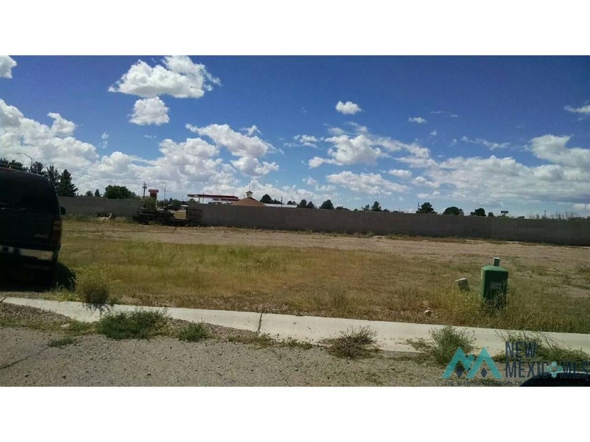Picture of Residential Land For Sale in Deming, New Mexico, United States