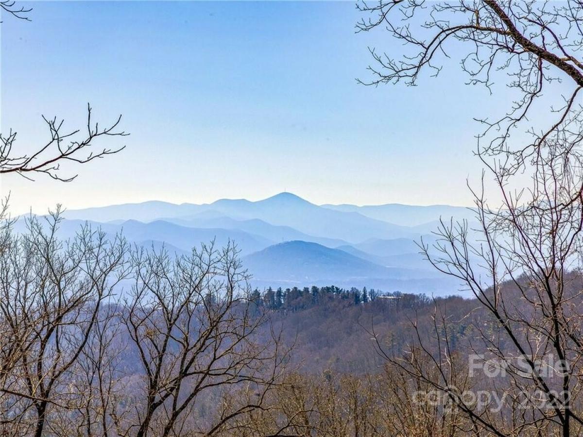 Picture of Residential Land For Sale in Asheville, North Carolina, United States