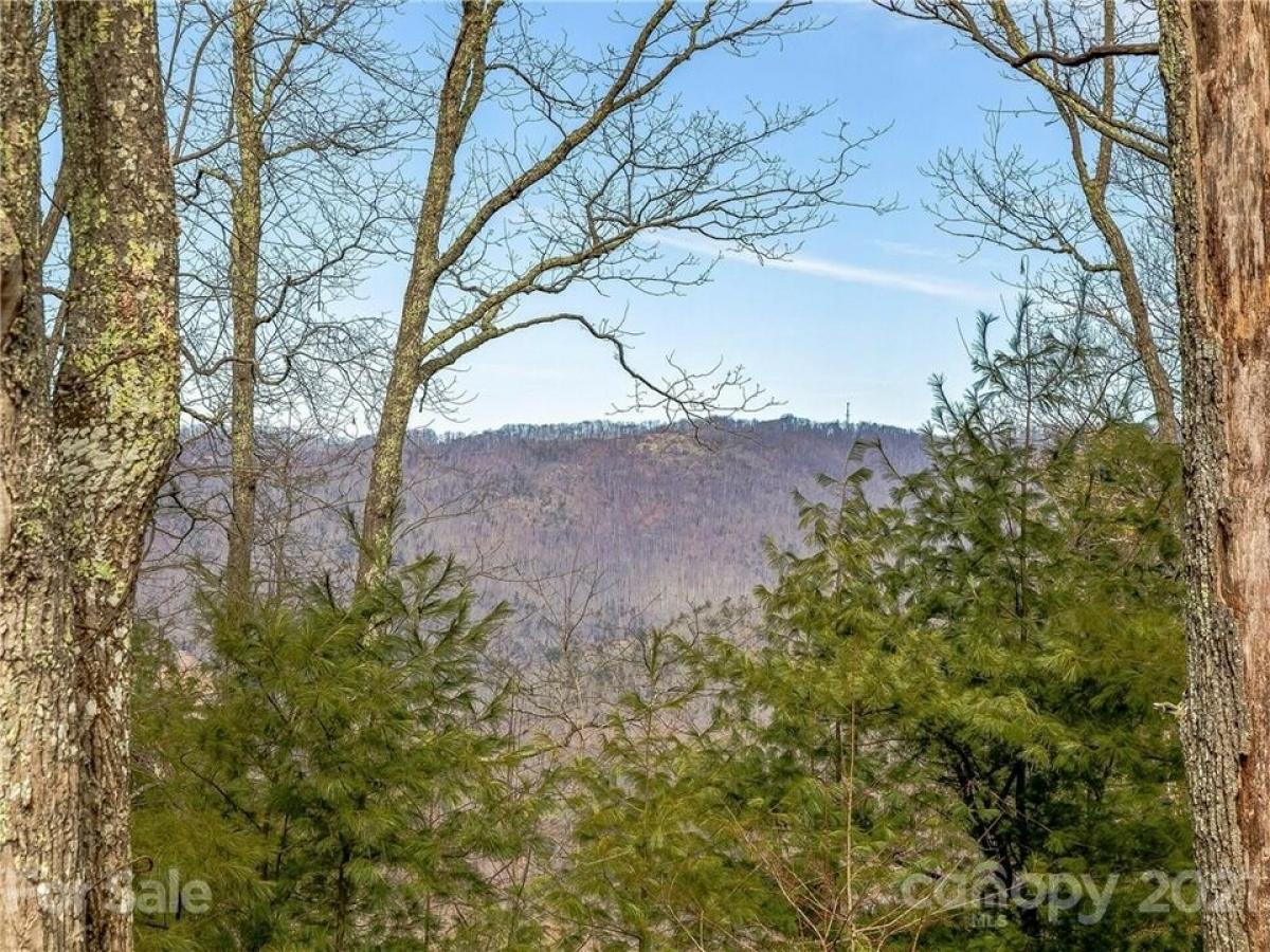 Picture of Residential Land For Sale in Asheville, North Carolina, United States