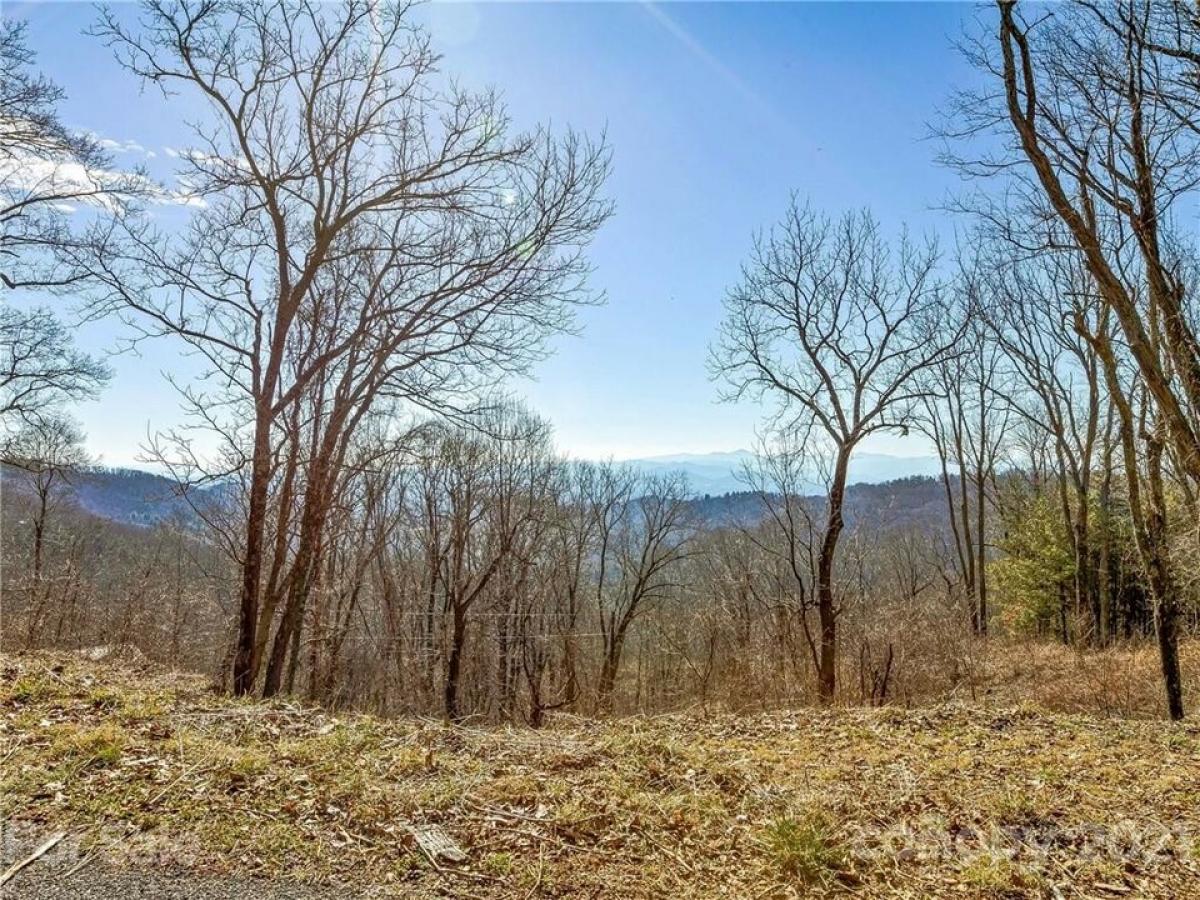 Picture of Residential Land For Sale in Asheville, North Carolina, United States