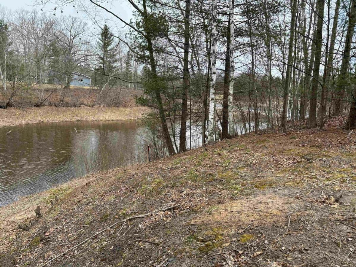 Picture of Residential Land For Sale in Gladwin, Michigan, United States