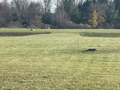 Residential Land For Sale in Gladwin, Michigan