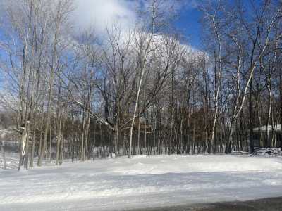 Residential Land For Sale in Gladwin, Michigan