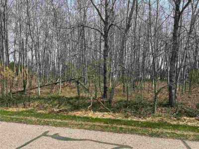 Residential Land For Sale in Gladwin, Michigan