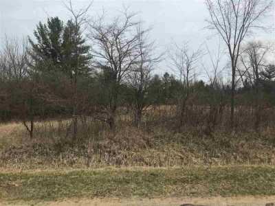 Residential Land For Sale in Gladwin, Michigan