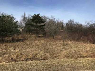 Residential Land For Sale in Gladwin, Michigan