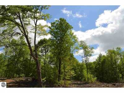 Residential Land For Sale in Alba, Michigan