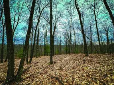Residential Land For Sale in Hubbard Lake, Michigan