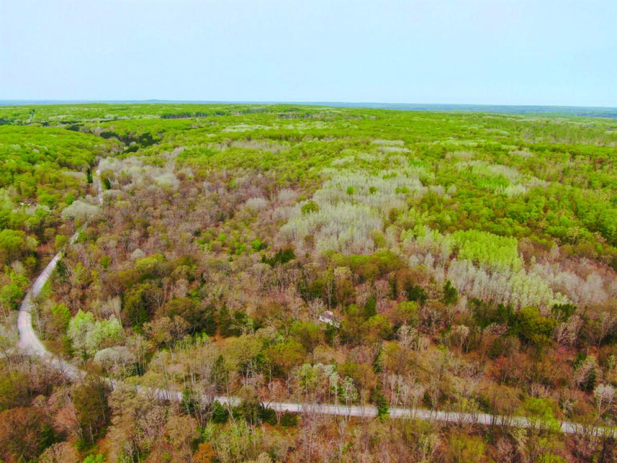 Picture of Residential Land For Sale in Hubbard Lake, Michigan, United States