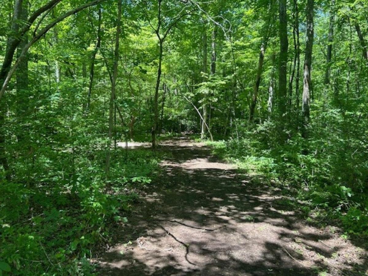 Picture of Residential Land For Sale in Crossville, Tennessee, United States