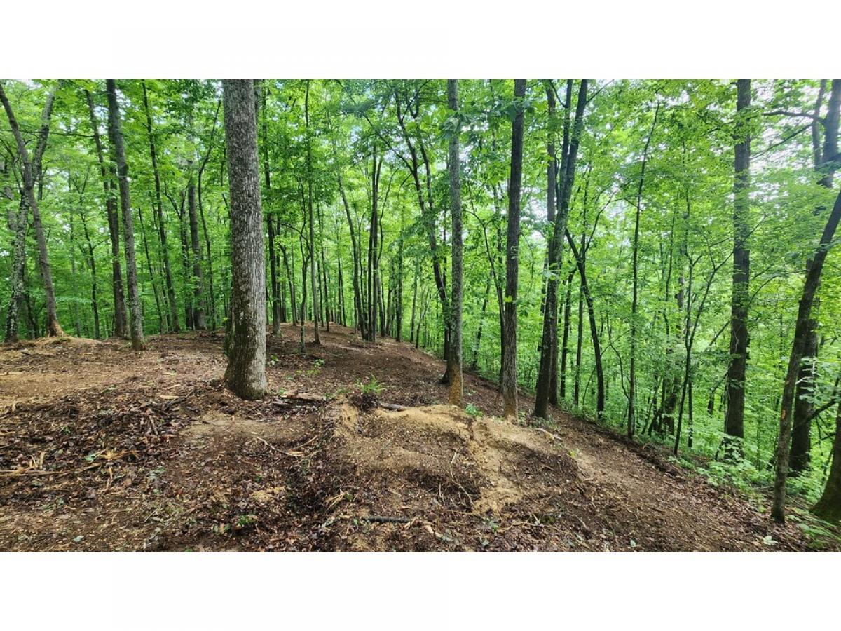 Picture of Residential Land For Sale in Sparta, Tennessee, United States