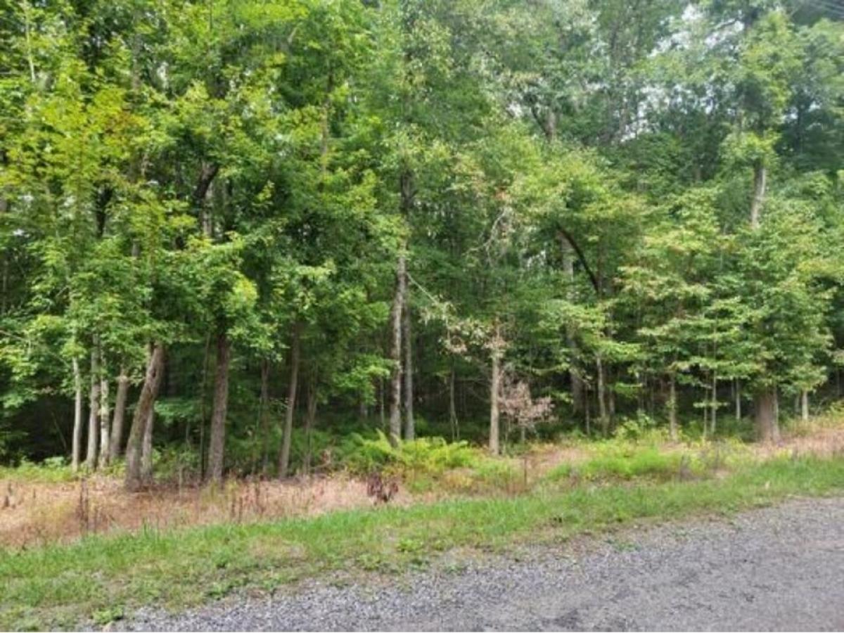 Picture of Residential Land For Sale in Crossville, Tennessee, United States