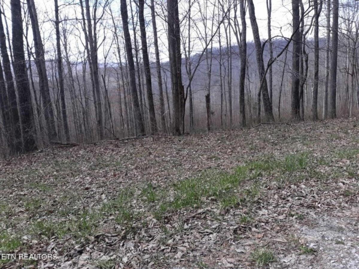 Picture of Residential Land For Sale in Jamestown, Tennessee, United States