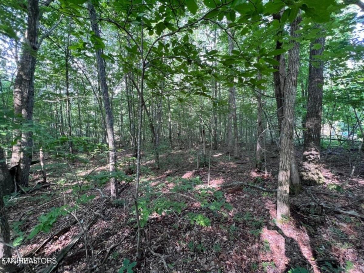 Picture of Residential Land For Sale in Jamestown, Tennessee, United States