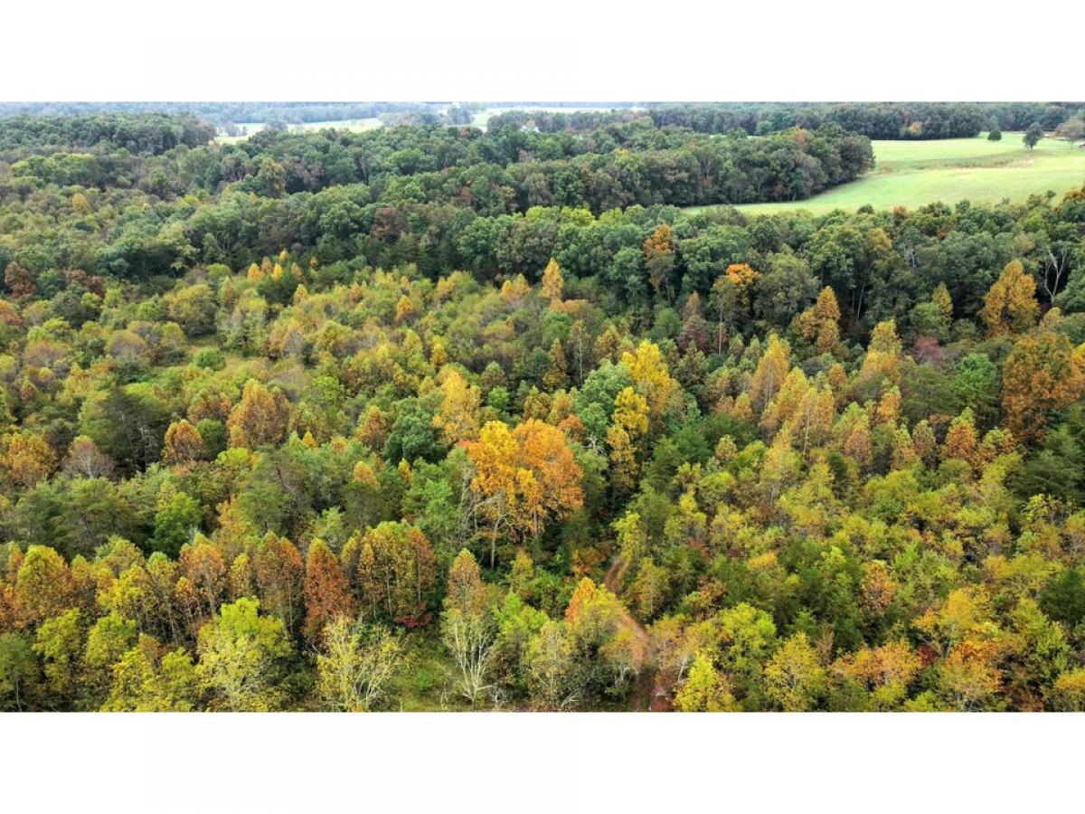 Picture of Residential Land For Sale in Crossville, Tennessee, United States