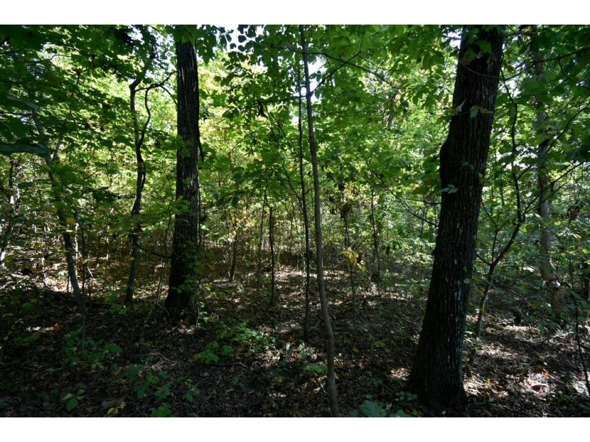 Picture of Residential Land For Sale in Spring City, Tennessee, United States