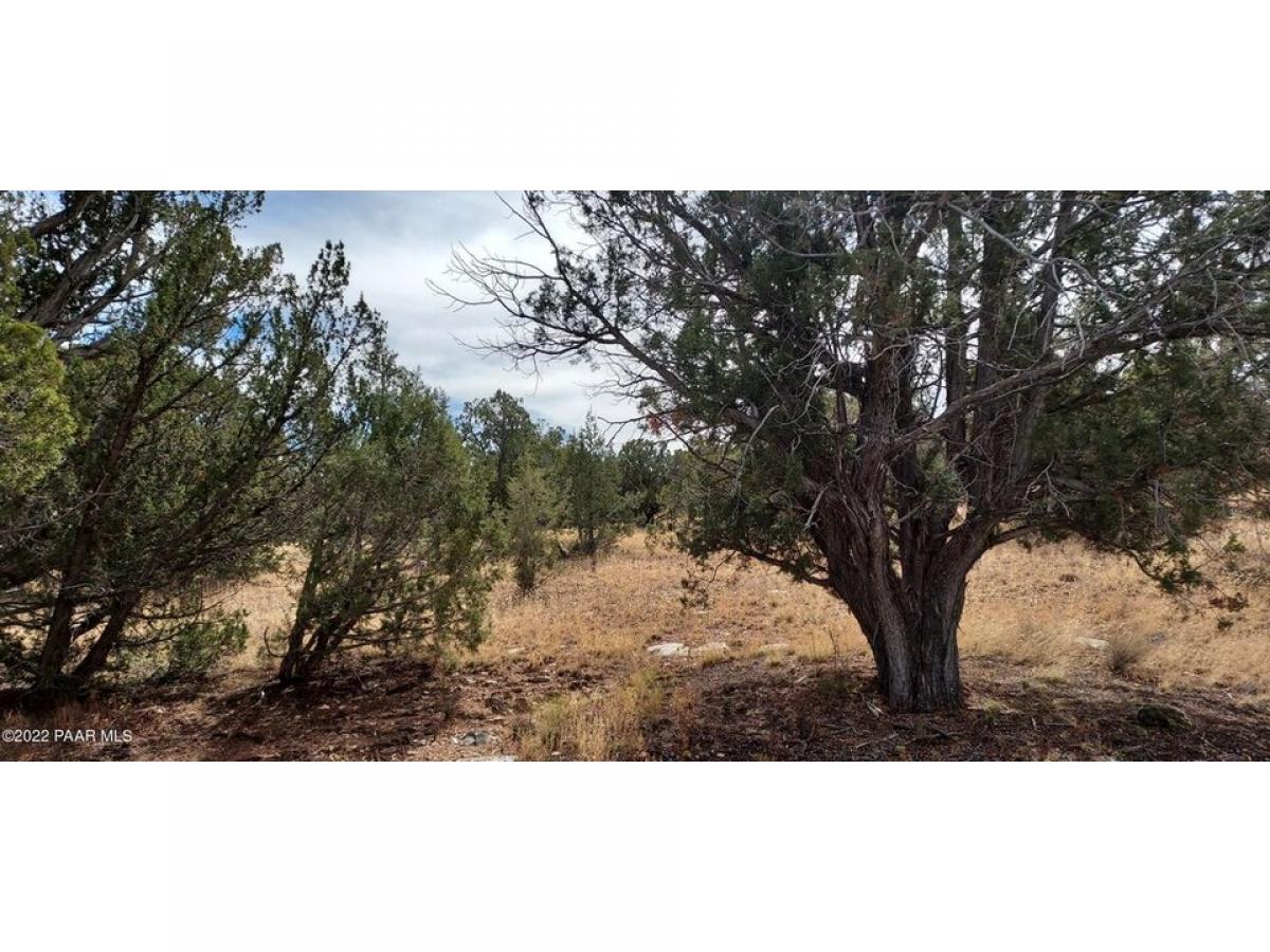 Picture of Residential Land For Rent in Seligman, Arizona, United States