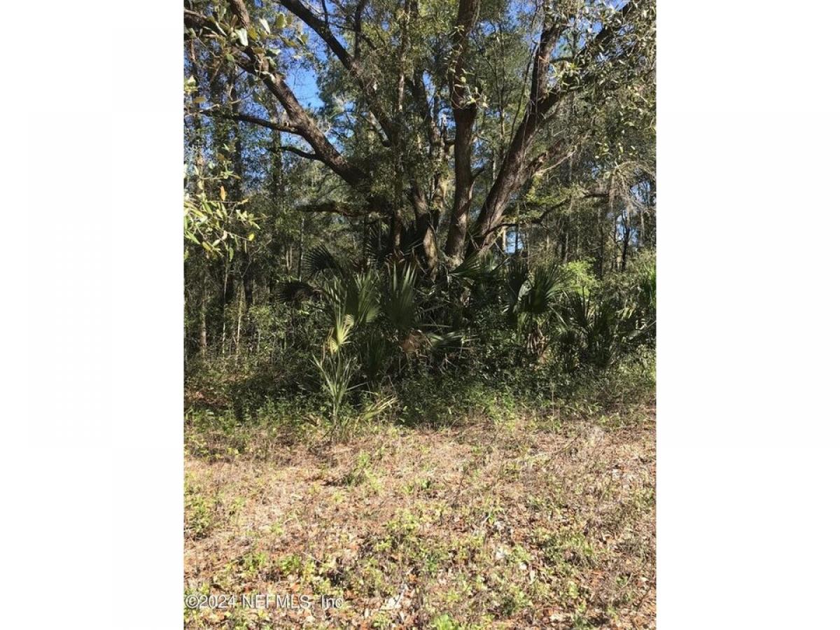 Picture of Residential Land For Rent in Interlachen, Florida, United States
