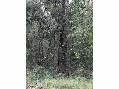 Residential Land For Rent in Interlachen, Florida