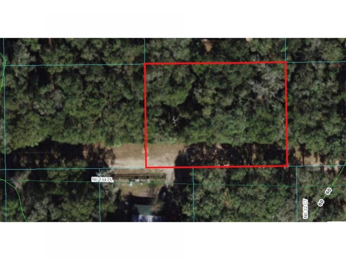Picture of Residential Land For Rent in Citra, Florida, United States