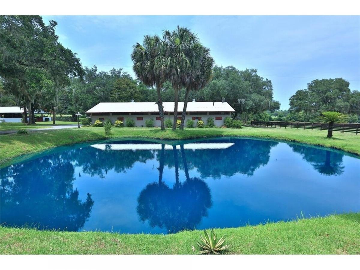 Picture of Home For Sale in Reddick, Florida, United States