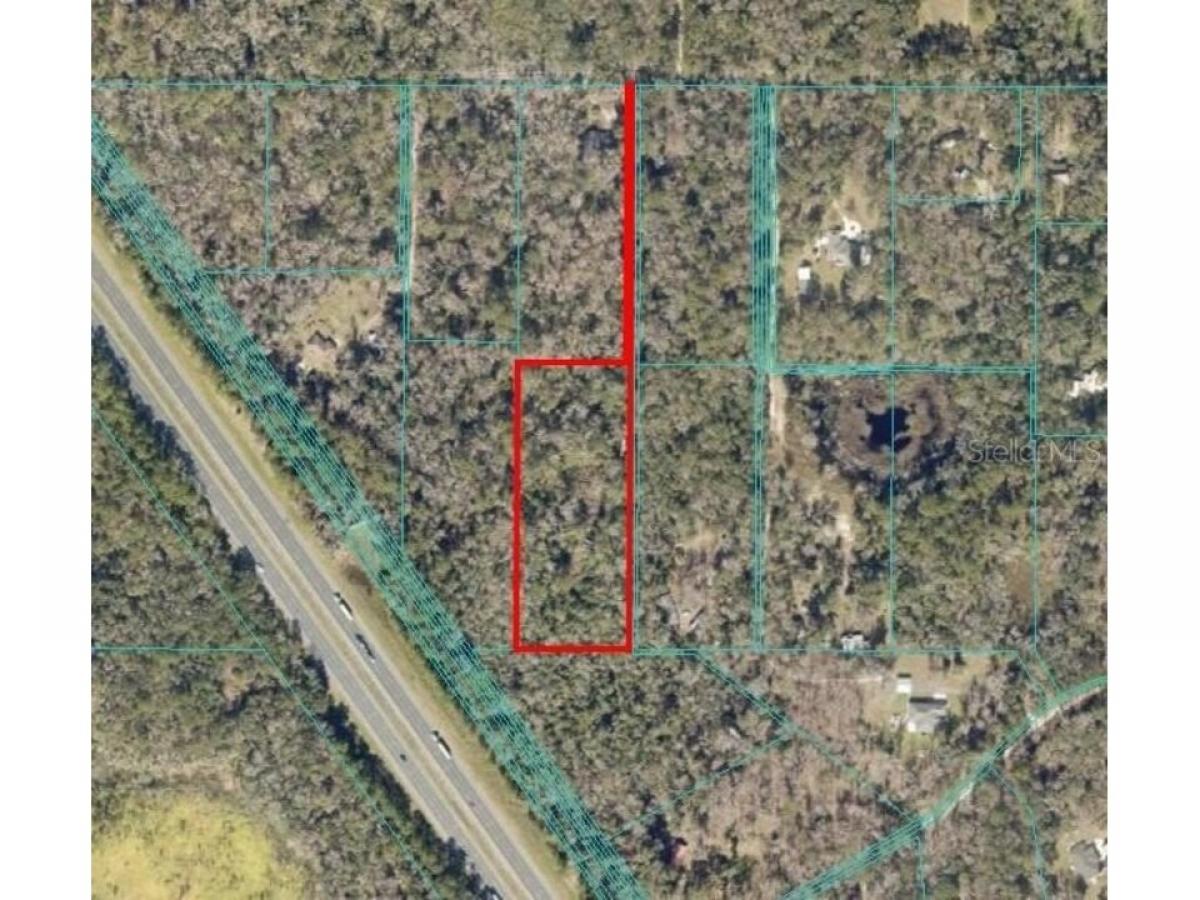 Picture of Residential Land For Sale in Micanopy, Florida, United States