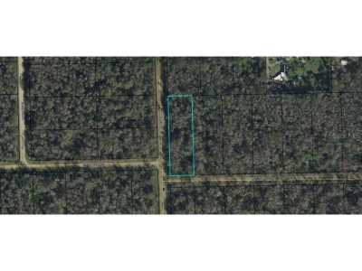 Residential Land For Sale in Bunnell, Florida