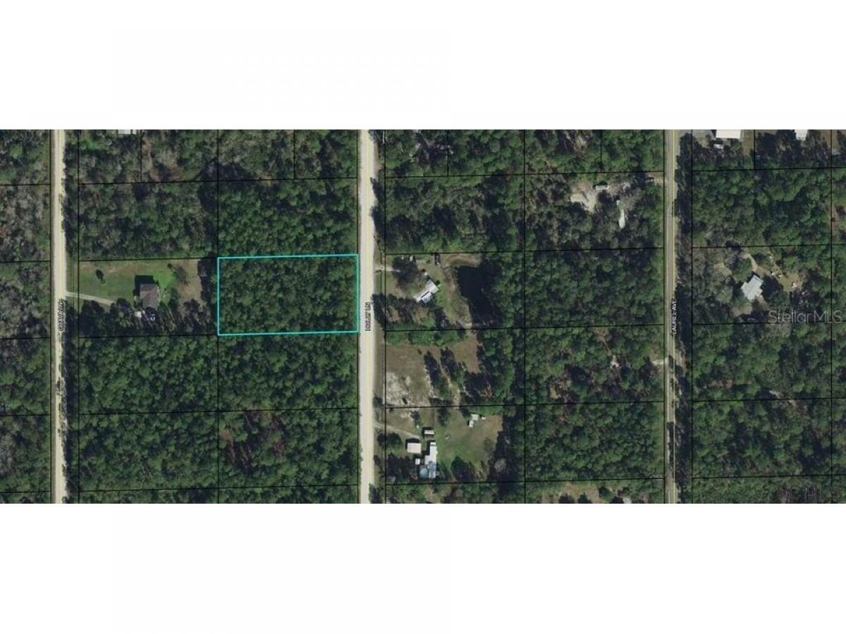 Picture of Residential Land For Sale in Bunnell, Florida, United States