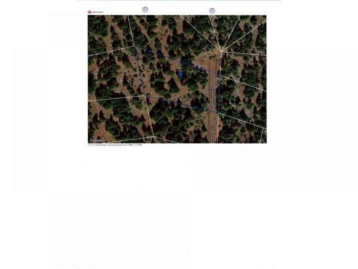 Picture of Residential Land For Rent in Alturas, California, United States