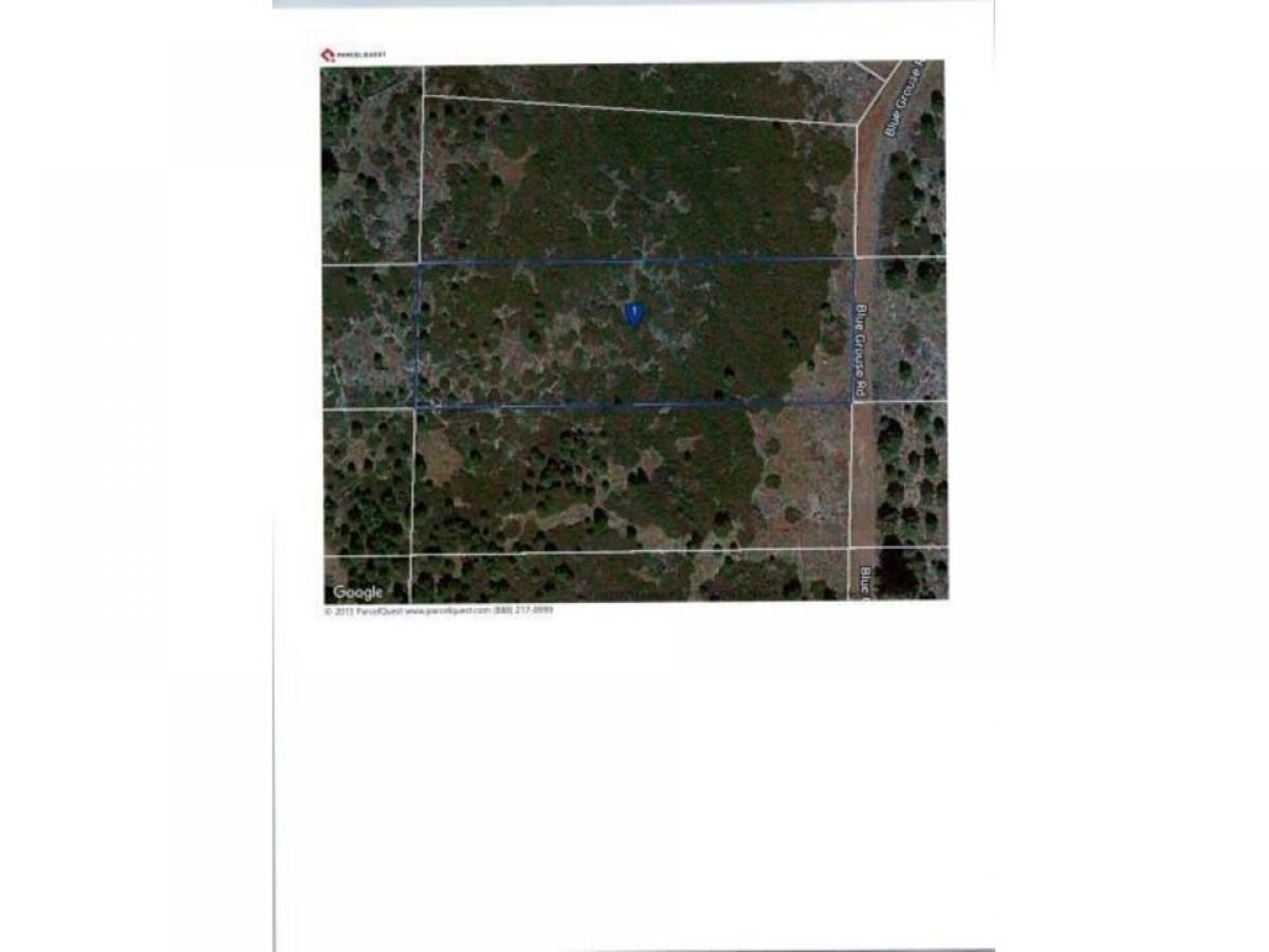 Picture of Residential Land For Rent in Alturas, California, United States