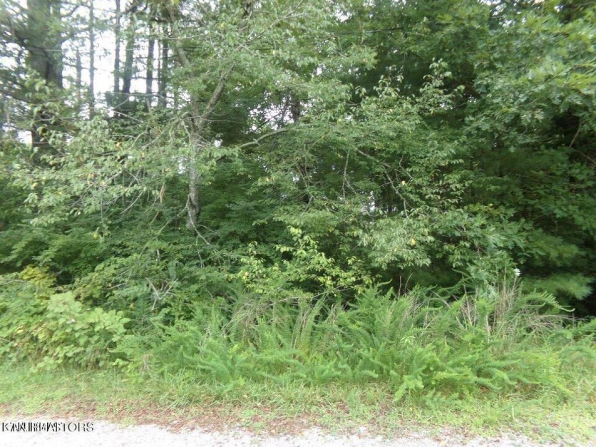 Picture of Residential Land For Rent in Crossville, Tennessee, United States
