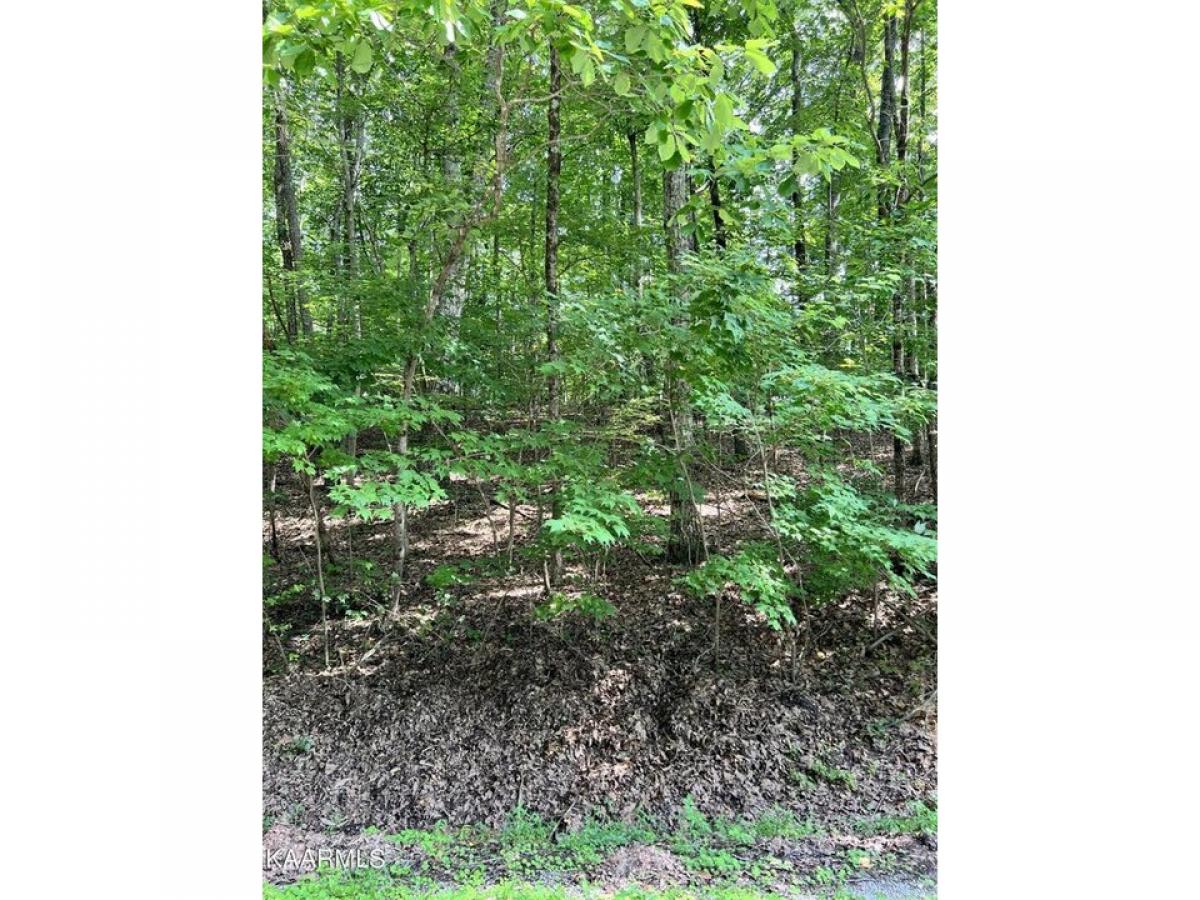Picture of Residential Land For Rent in Crossville, Tennessee, United States
