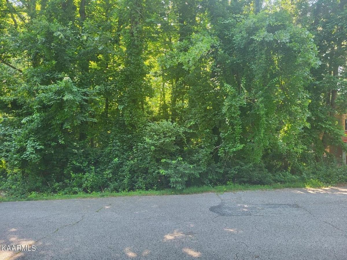 Picture of Residential Land For Rent in Crossville, Tennessee, United States