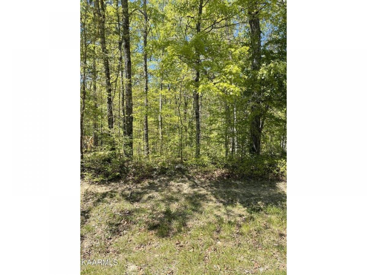 Picture of Residential Land For Sale in Crossville, Tennessee, United States