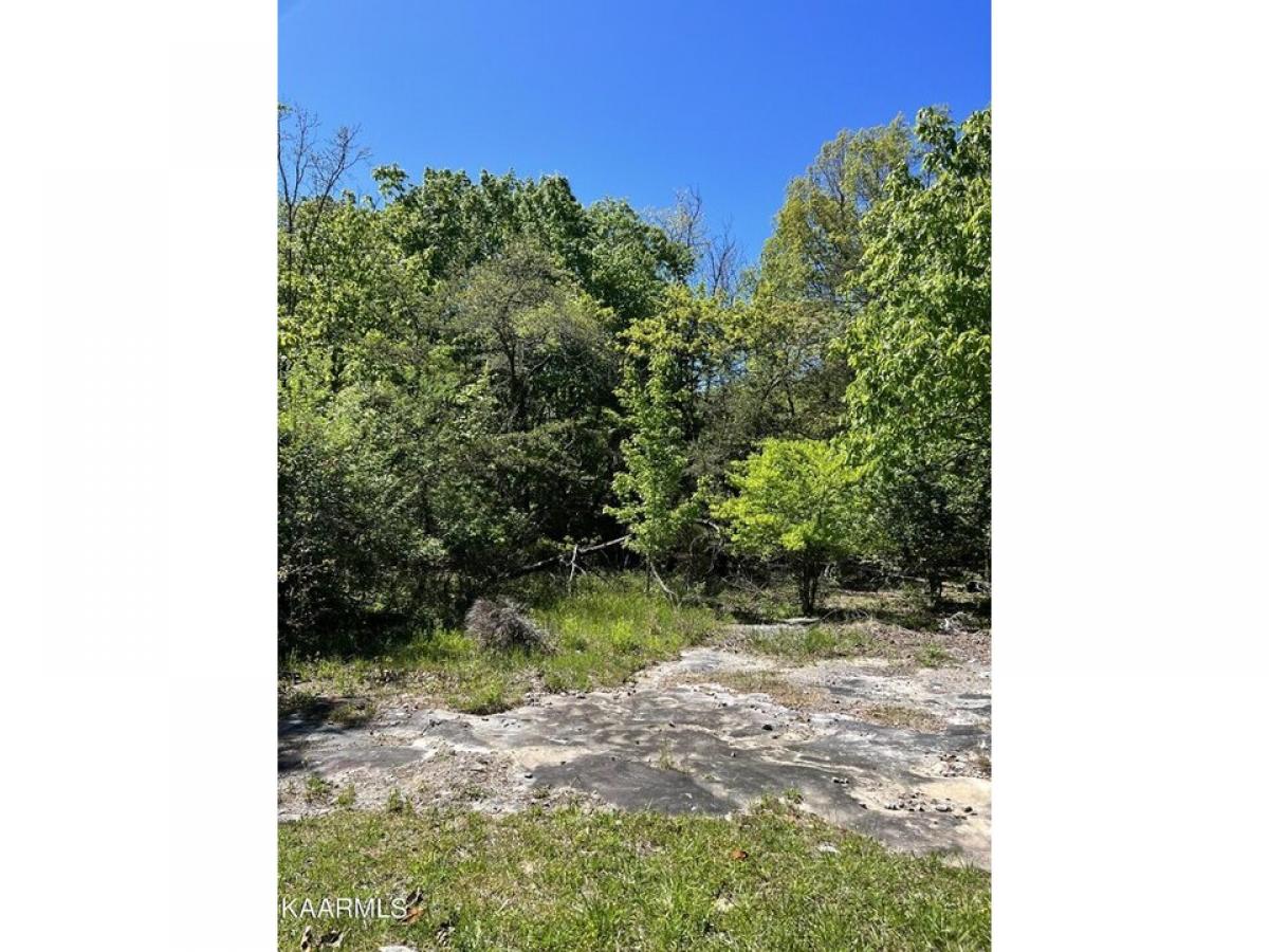 Picture of Residential Land For Rent in Crossville, Tennessee, United States